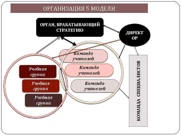  ОРГАНИЗАЦИЯ 5 МОДЕЛИ ОРГАН, ВРАБАТЫВАЮЩИЙ СТРАТЕГИЮ ДИРЕКТ ОР Команда учителей КОМАНДА СПЕЦИАЛИСТОВ Учебная