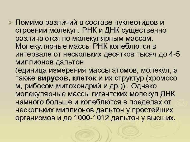 Ø Помимо различий в составе нуклеотидов и строении молекул, РНК и ДНК существенно различаются