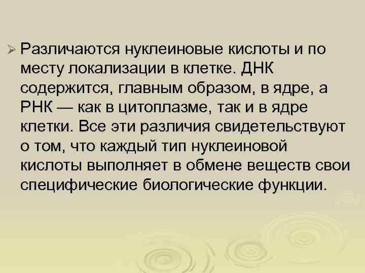 Ø Различаются нуклеиновые кислоты и по месту локализации в клетке. ДНК содержится, главным образом,