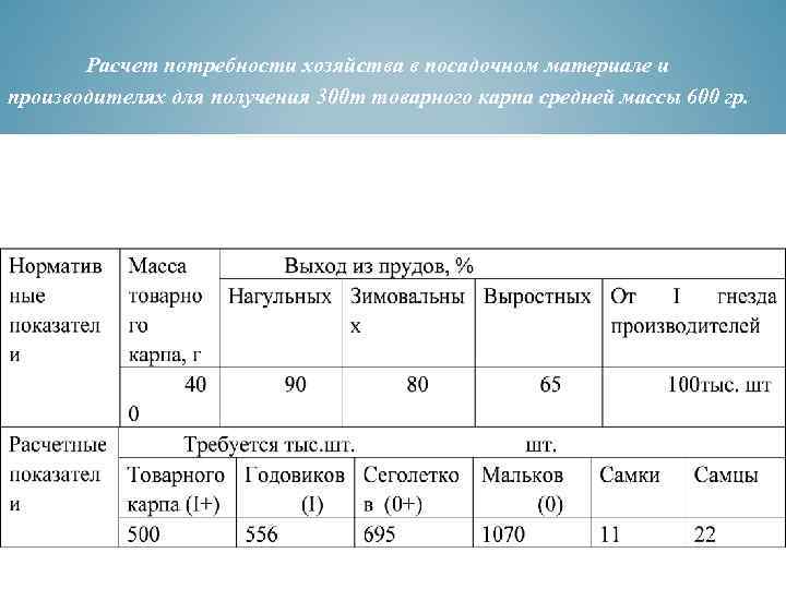 Расчет потребности хозяйства в посадочном материале и производителях для получения 300 т товарного карпа