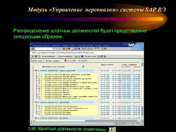 Модуль «Управление персоналом» системы SAP R/3 Распределение штатных должностей будет представлено следующим образом: где