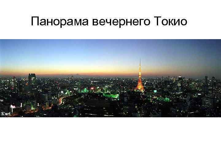 Панорама вечернего Токио 