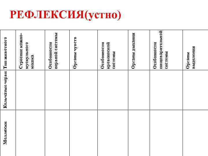 Моллюски Органы выделения Особенности пищеварительной системы Органы дыхания Особенности кровеносной системы Органы чувств Особенности