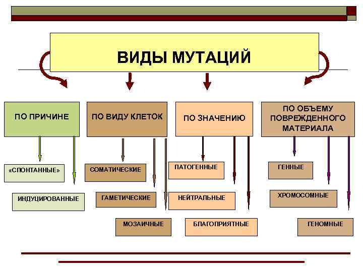 Типы мутаций рисунки