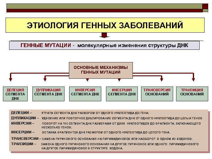 Индивидуальный проект генетические заболевания