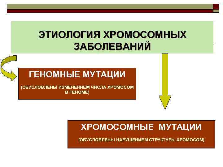 ЭТИОЛОГИЯ ХРОМОСОМНЫХ ЗАБОЛЕВАНИЙ ГЕНОМНЫЕ МУТАЦИИ (ОБУСЛОВЛЕНЫ ИЗМЕНЕНИЕМ ЧИСЛА ХРОМОСОМ В ГЕНОМЕ) ХРОМОСОМНЫЕ МУТАЦИИ (ОБУСЛОВЛЕНЫ