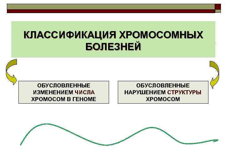 КЛАССИФИКАЦИЯ ХРОМОСОМНЫХ БОЛЕЗНЕЙ ОБУСЛОВЛЕННЫЕ ИЗМЕНЕНИЕМ ЧИСЛА ХРОМОСОМ В ГЕНОМЕ ОБУСЛОВЛЕННЫЕ НАРУШЕНИЕМ СТРУКТУРЫ ХРОМОСОМ 