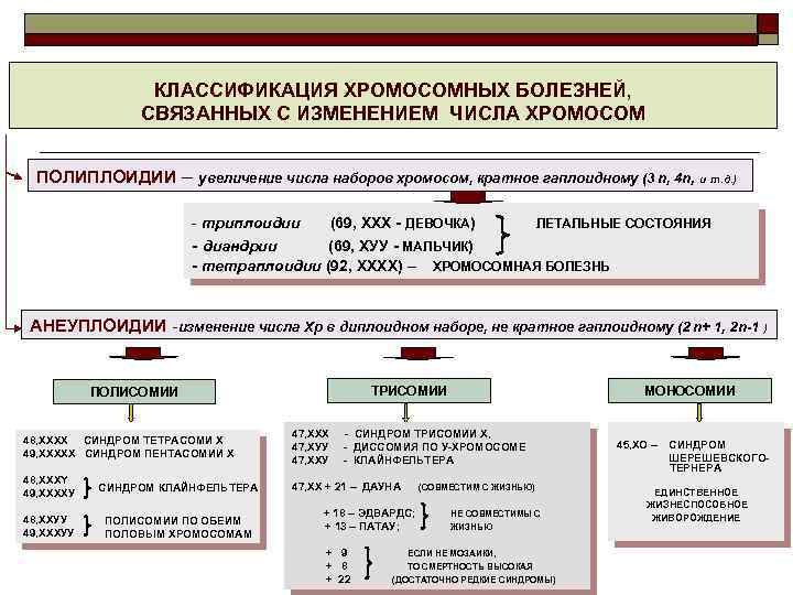 КЛАССИФИКАЦИЯ ХРОМОСОМНЫХ БОЛЕЗНЕЙ, СВЯЗАННЫХ С ИЗМЕНЕНИЕМ ЧИСЛА ХРОМОСОМ ПОЛИПЛОИДИИ – увеличение числа наборов хромосом,