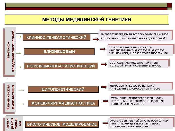 Экспе римен тальн ый Клиническая диагностика Генетикоэпидемиологический МЕТОДЫ МЕДИЦИНСКОЙ ГЕНЕТИКИ КЛИНИКО-ГЕНЕАЛОГИЧЕСКИЙ БЛИЗНЕЦОВЫЙ ПОПУЛЯЦИОННО-СТАТИСТИЧЕСКИЙ ЦИТОГЕНЕТИЧЕСКИЙ