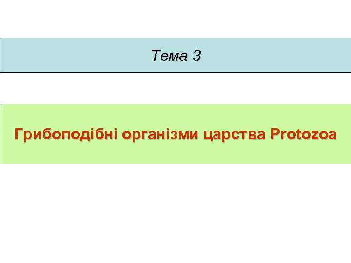 Тема 3 Грибоподібні організми царства Protozoa 