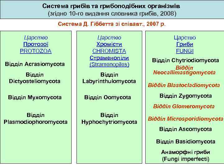 Система грибів та грибоподібних організмів (згідно 10 -го видання словника грибів, 2008) Система Д.