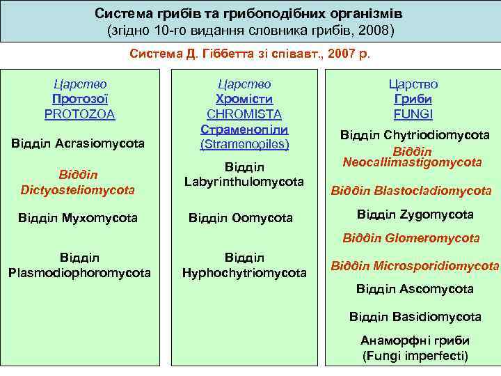 Система грибів та грибоподібних організмів (згідно 10 -го видання словника грибів, 2008) Система Д.