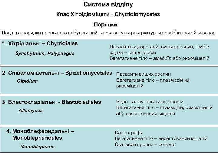 Система відділу Клас Хітрідіоміцети - Chytridiomycetes Порядки: Поділ на порядки переважно побудований на основі