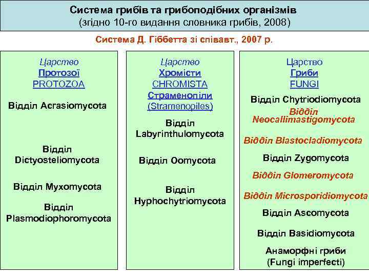 Система грибів та грибоподібних організмів (згідно 10 -го видання словника грибів, 2008) Система Д.