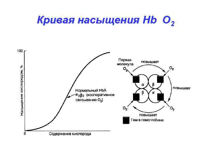 Схема связывания газов гемоглобином карбокси и метгемоглобин