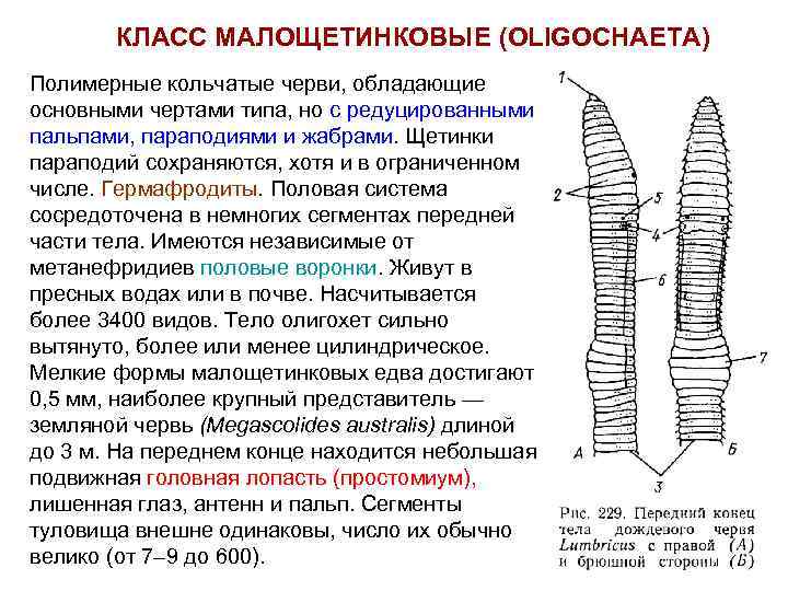 Редуцированная высота стенки это