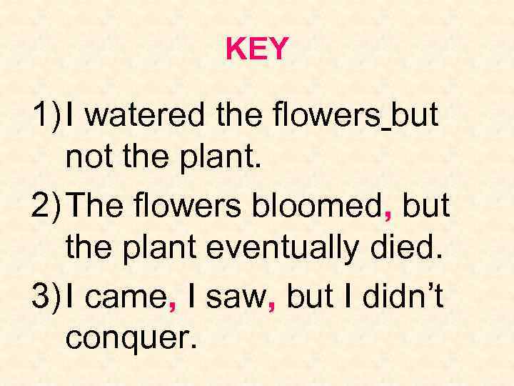 KEY 1) I watered the flowers but not the plant. 2) The flowers bloomed,