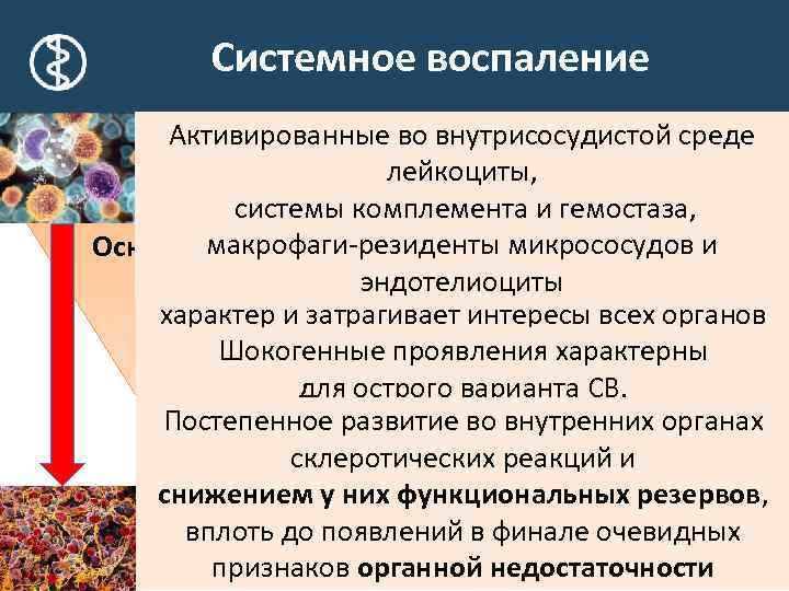 Системное воспаление Активированные во внутрисосудистой среде лейкоциты, Системные микроциркуляторные расстройства системы комплемента и гемостаза,