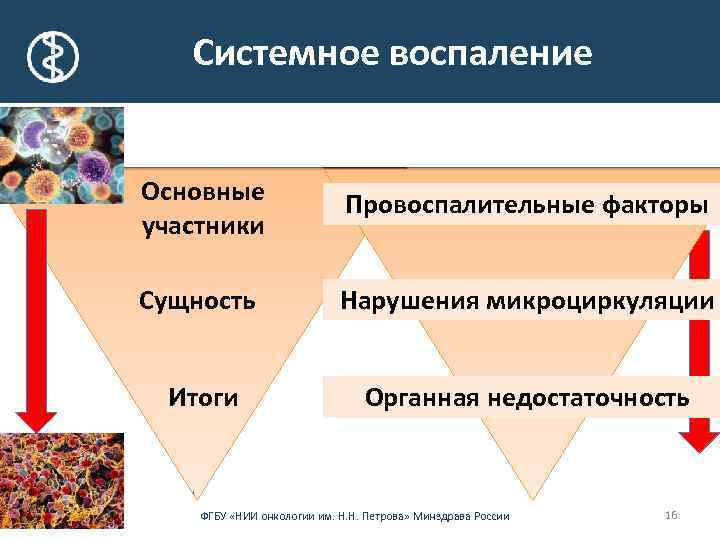 Системное воспаление Основные участники Провоспалительные факторы Сущность Нарушения микроциркуляции Итоги Органная недостаточность ФГБУ «НИИ