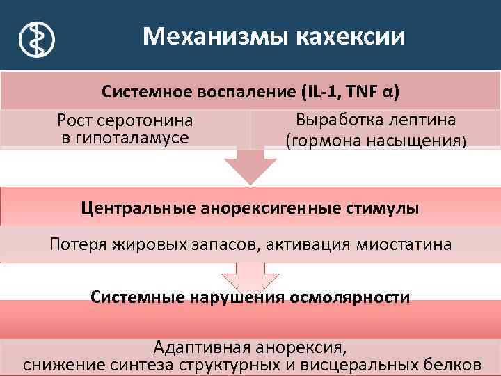 Механизмы кахексии Системное воспаление (IL-1, TNF α) Выработка лептина Рост серотонина в гипоталамусе (гормона