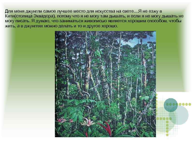 Для меня джунгли самое лучшее место для искусства на свете. . Я не езжу