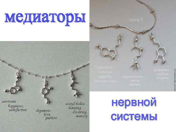 нервной системы 