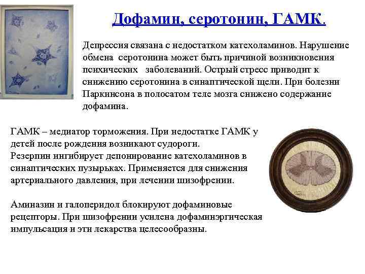 Дофамин, серотонин, ГАМК. Депрессия связана с недостатком катехоламинов. Нарушение обмена серотонина может быть причиной