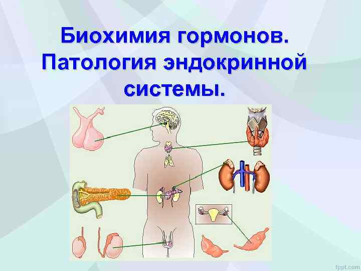 Биохимия гормонов. Патология эндокринной системы. 