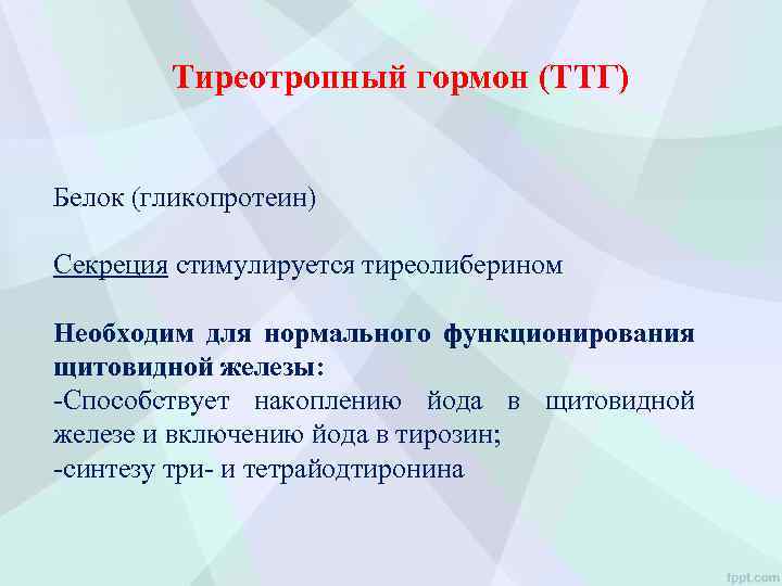 Тиреотропный гормон (ТТГ) Белок (гликопротеин) Секреция стимулируется тиреолиберином Необходим для нормального функционирования щитовидной железы: