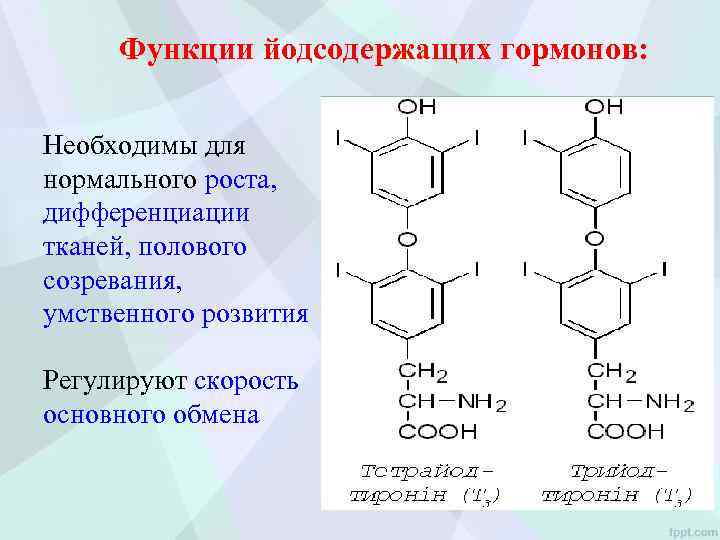 Функции йодсодержащих гормонов: Необходимы для нормального роста, дифференциации тканей, полового созревания, умственного розвития Регулируют