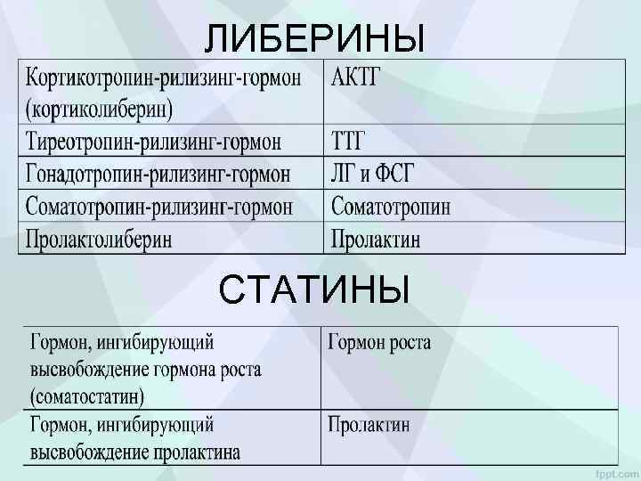 ЛИБЕРИНЫ СТАТИНЫ 