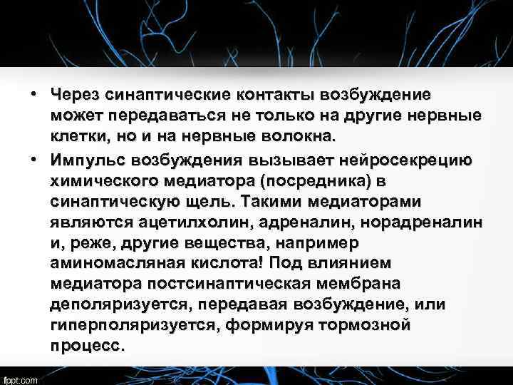  • Через синаптические контакты возбуждение может передаваться не только на другие нервные клетки,