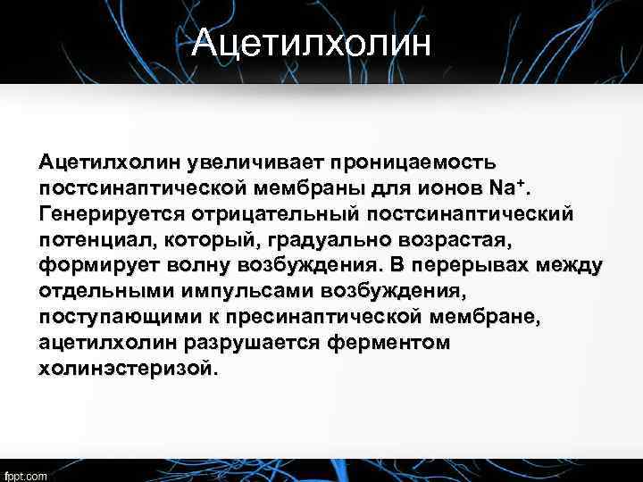 Ацетилхолин увеличивает проницаемость постсинаптической мембраны для ионов Na+. Генерируется отрицательный постсинаптический потенциал, который, градуально