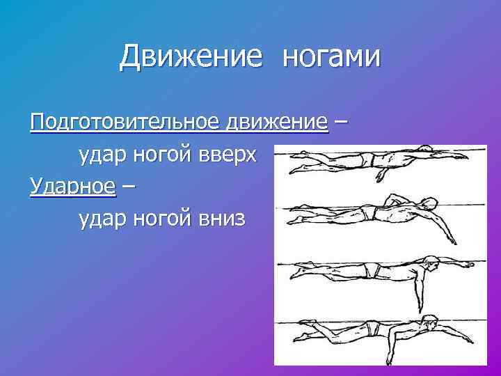  Движение ногами Подготовительное движение – удар ногой вверх Ударное – удар ногой вниз