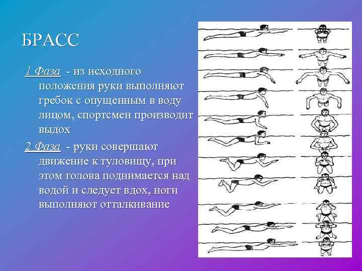 БРАСС 1 Фаза - из исходного положения руки выполняют гребок с опущенным в воду