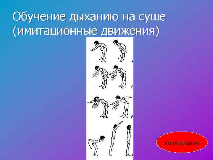 Обучение дыханию на суше (имитационные движения) содержание 