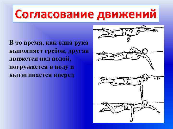 Продолжаем движение руки. Правильное дыхание в плавании. Общее согласование движений Кроль на груди. Дыхание при плавании брассом. Правила дыхания при плавании.