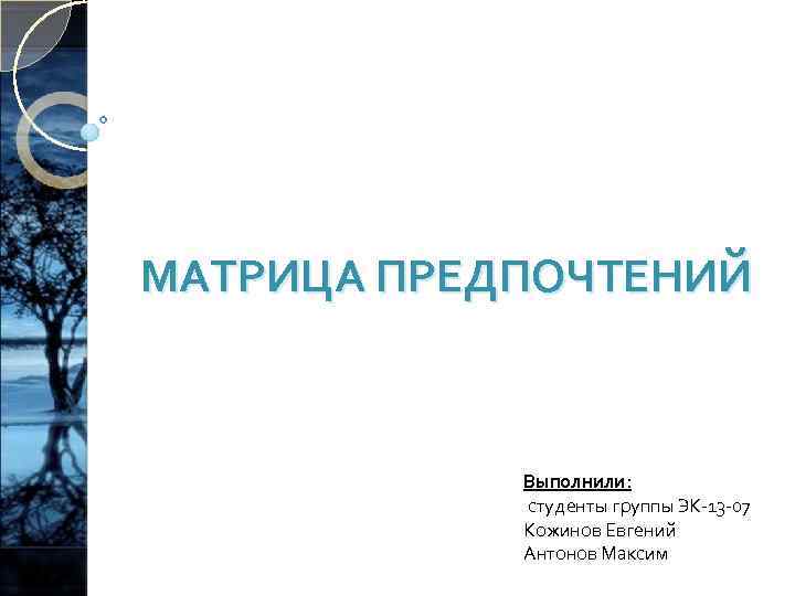 МАТРИЦА ПРЕДПОЧТЕНИЙ Выполнили: студенты группы ЭК-13 -07 Кожинов Евгений Антонов Максим 