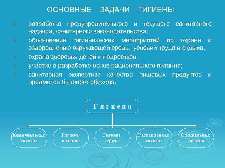 ОСНОВНЫЕ ЗАДАЧИ ГИГИЕНЫ Ø Ø Ø разработка предупредительного и текущего санитарного надзора, санитарного законодательства;