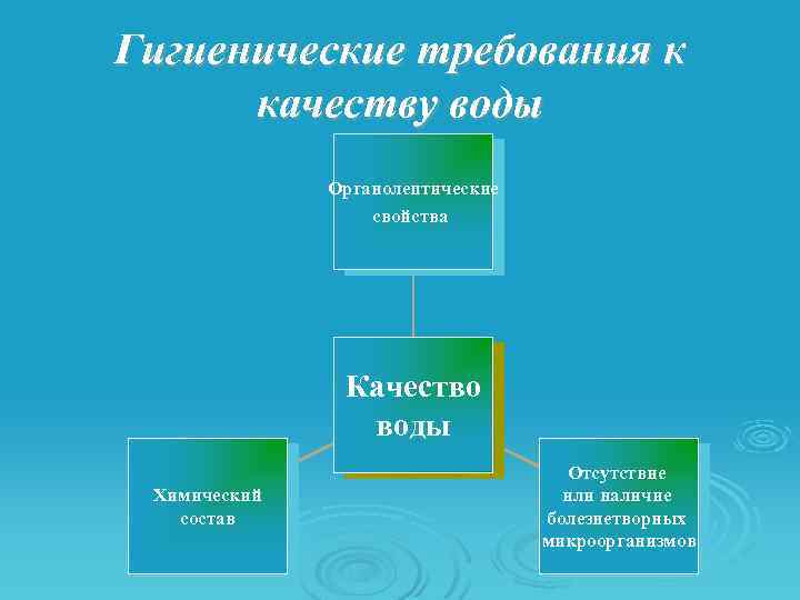 Идол санитарии и гигиены