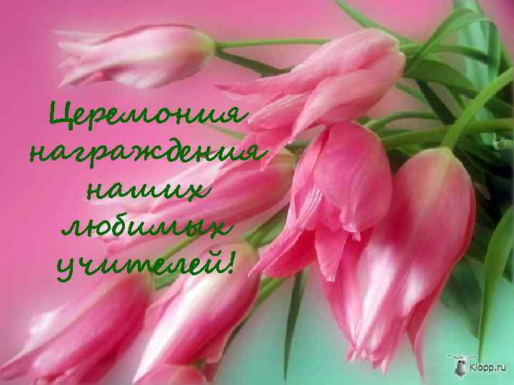 Церемония награждения наших любимых учителей! 