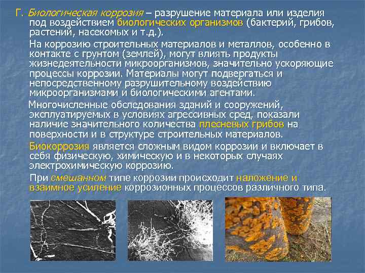 Г. Биологическая коррозия – разрушение материала или изделия под воздействием биологических организмов (бактерий, грибов,