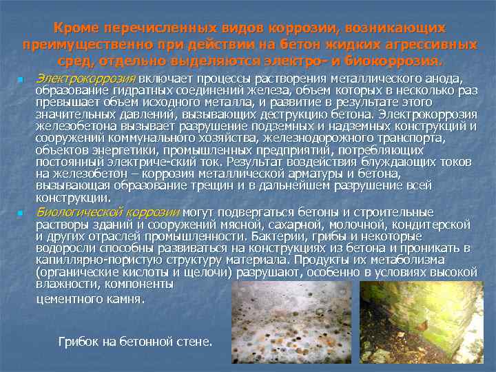 Кроме перечисленных видов коррозии, возникающих преимущественно при действии на бетон жидких агрессивных сред, отдельно