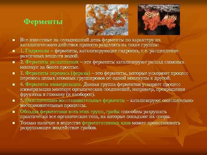Ферменты n n n n Все известные на сегодняшний день ферменты по характеру их