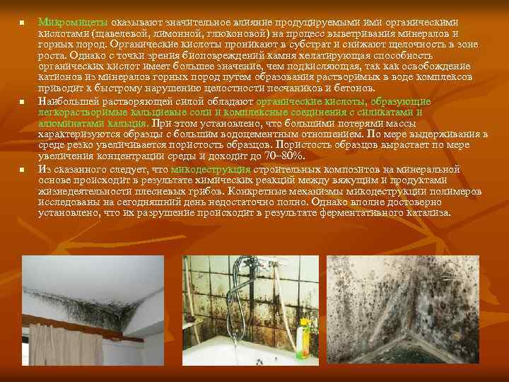 n n n Микромицеты оказывают значительное влияние продуцируемыми ими органическими кислотами (щавелевой, лимонной, глюконовой)