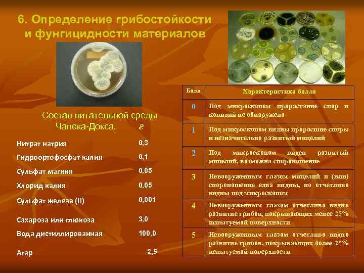 6. Определение грибостойкости и фунгицидности материалов Балл Состав питательной среды Чапека-Докса, г Нитрат натрия