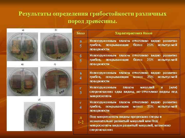 Результаты определения грибостойкости различных пород древесины. Балл Характеристика балла а 5 Невооруженным глазом отчетливо