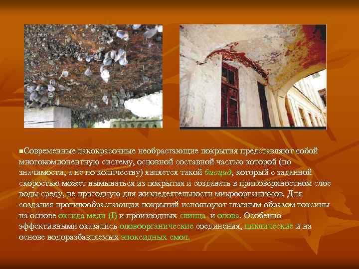 n. Современные лакокрасочные необрастающие покрытия представляют собой многокомпонентную систему, основной составной частью которой (по