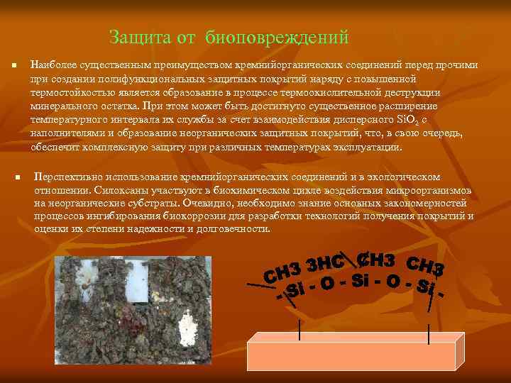 Защита от биоповреждений n n Наиболее существенным преимуществом кремнийорганических соединений перед прочими при создании