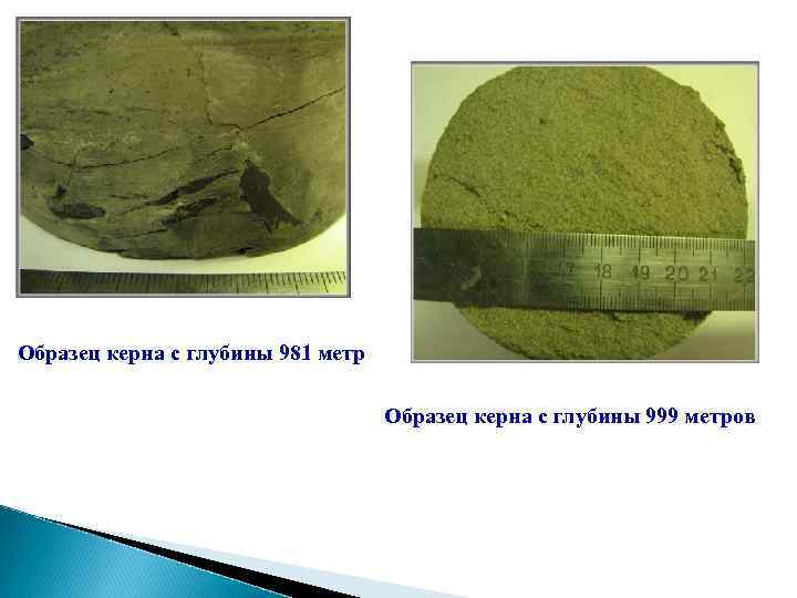 Образец керна с глубины 981 метр Образец керна с глубины 999 метров 